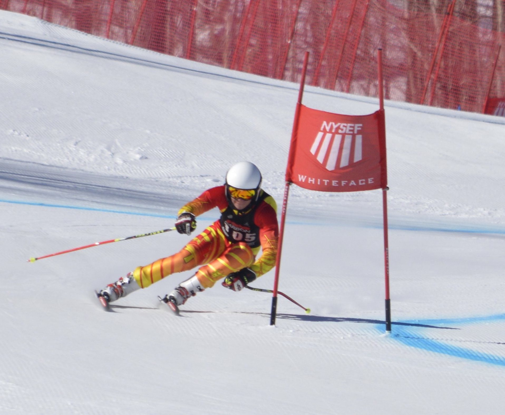 Alpine Featured Image