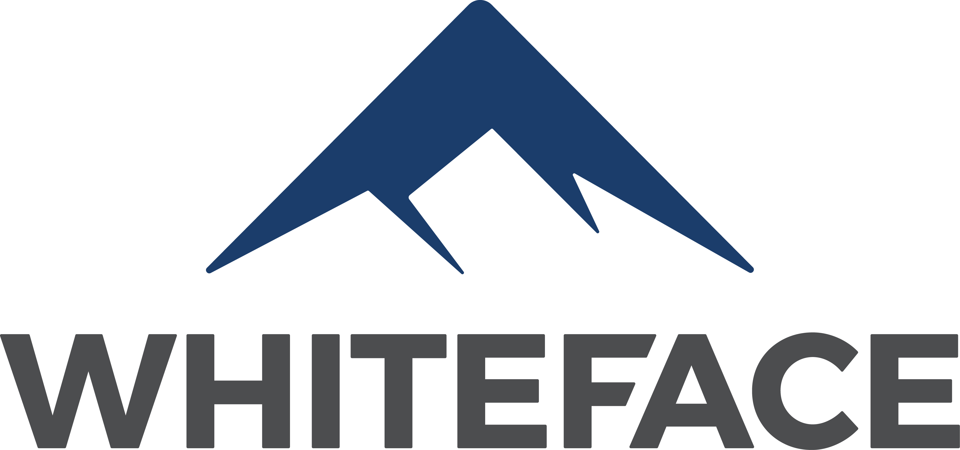 whiteface mountain logo