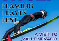 Screenshot 2025-11-13 152627